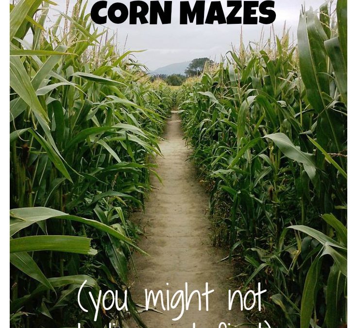 The history of corn mazes