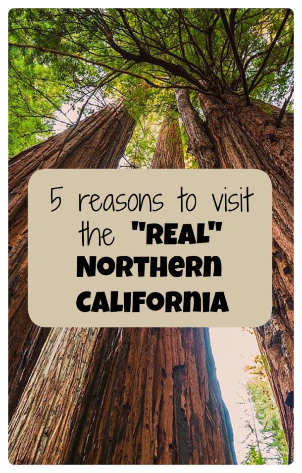 5 reasons you *must* visit coastal northern California - Points with a Crew