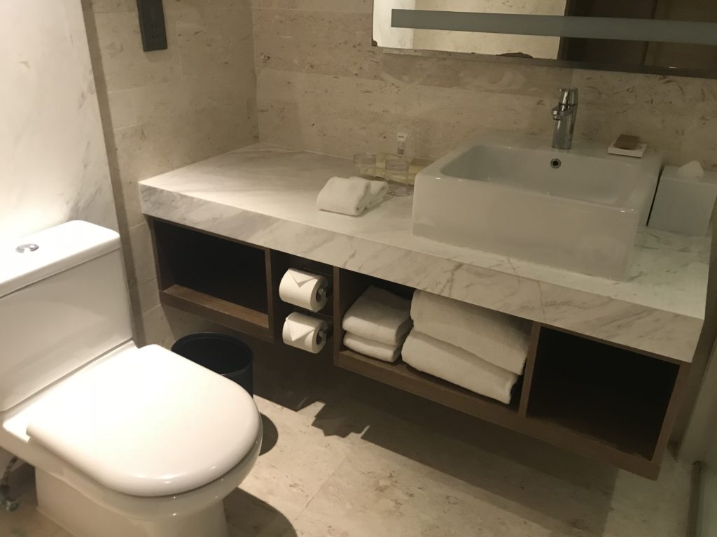 a bathroom with a sink and toilet