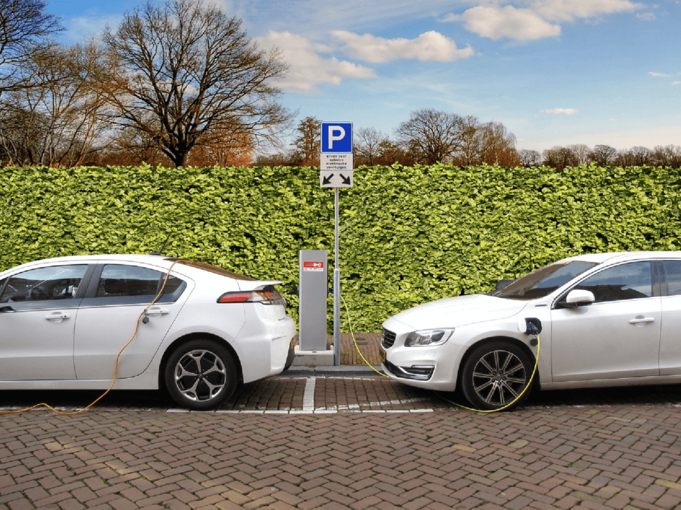 The Surprising Reason Car Rental Companies Are Ruining EVs Points