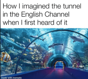 a tunnel with fish and a tunnel with a tunnel