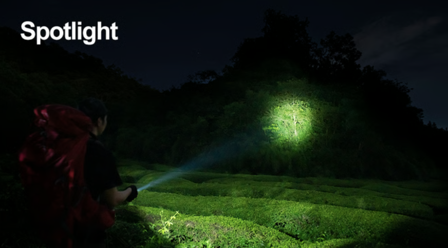 a person holding a flashlight in a field at night