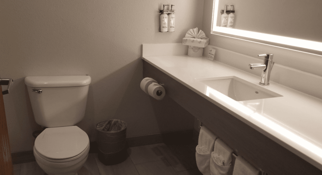 a bathroom with a sink and toilet